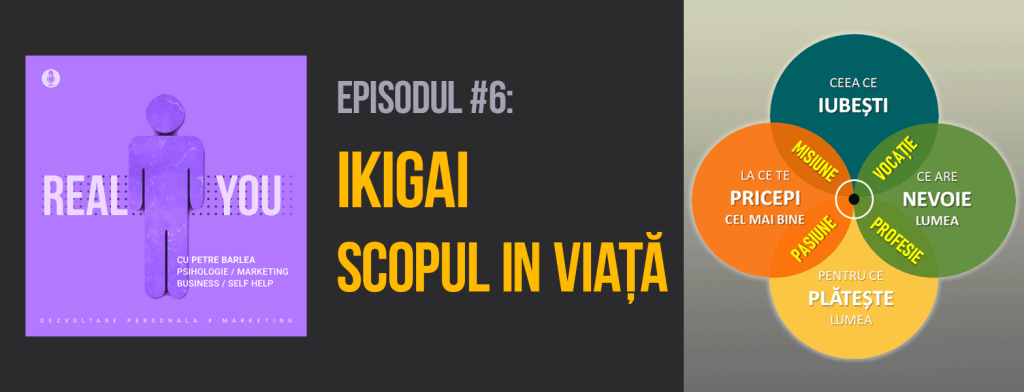 Ikigai - sensul vietii prin 4 intrebari