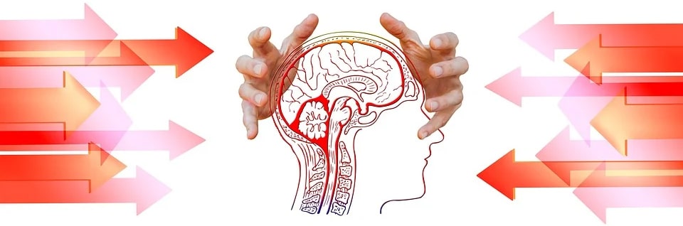 Rușinea toxică în creier