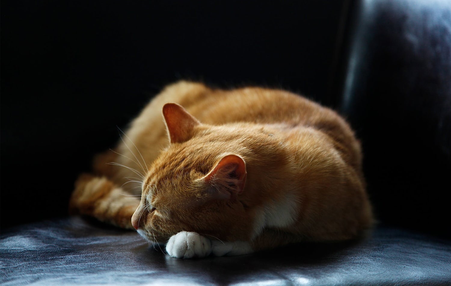 Nu poți să dormi? 14 secrete să adormi repede și bine (fără pastile)